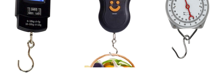 Crane and hanging scale