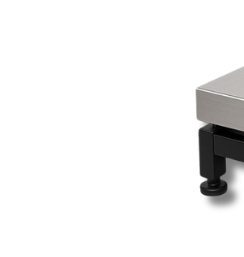 Platform scale